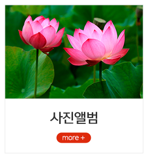 사주연구소JS제석_메뉴_2