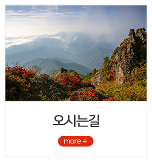 사주연구소JS제석_메뉴_4